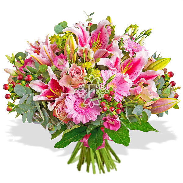 Тропиканка